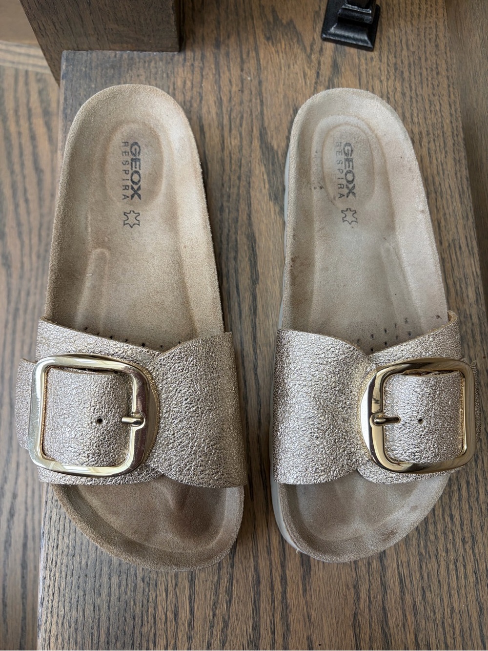 Geox Women’s Metallic Gold Slide Sandals with Buckle